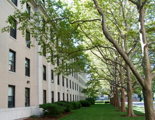 Side of East Campus building with windows covering the wall, green grass and trees parallel to the building.